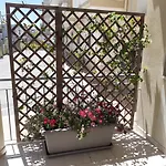 Cuore Del Sud