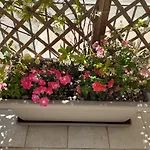 Cuore Del Sud Apartment