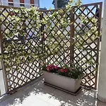 Apartment Cuore Del Sud