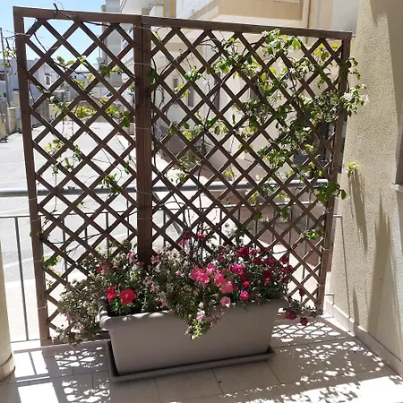Cuore Del Sud