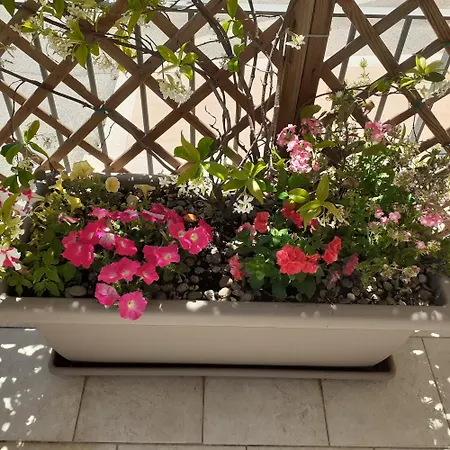 Cuore Del Sud Daire